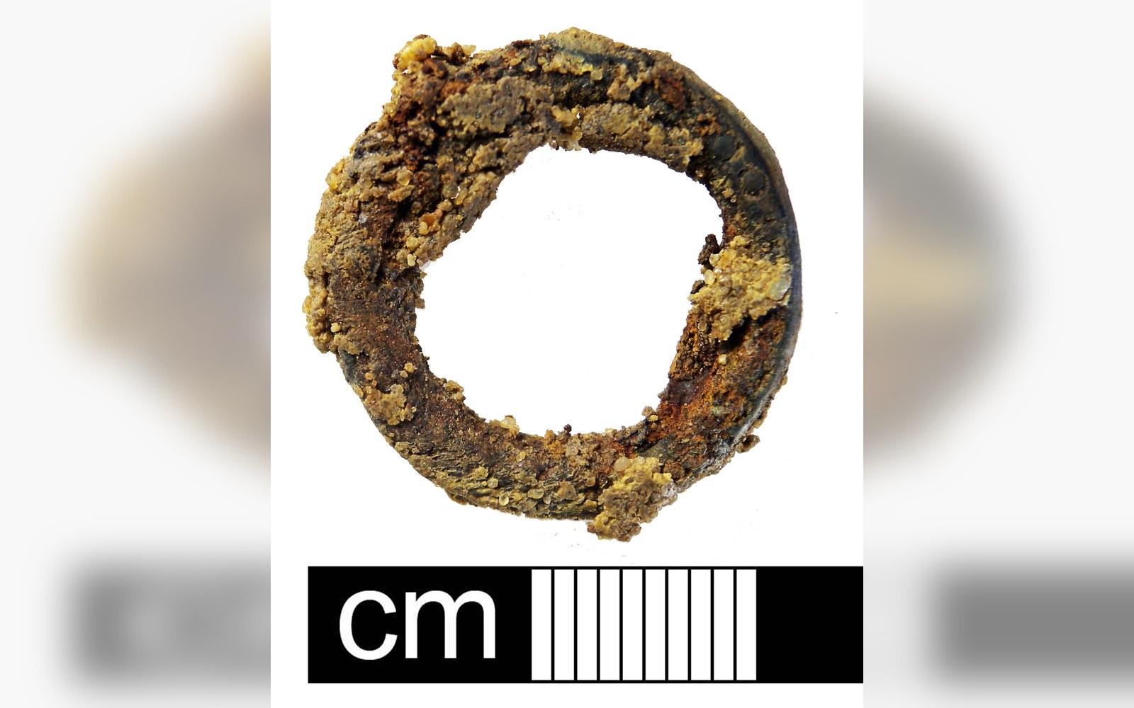 A corroded metal ring encrusted with mineral deposits, shown beside a centimetre scale